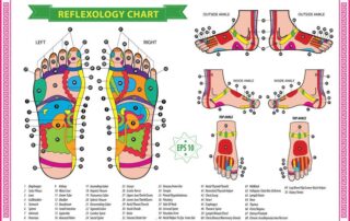 fussreflexzonen 43251615 123rf agus wahyudi